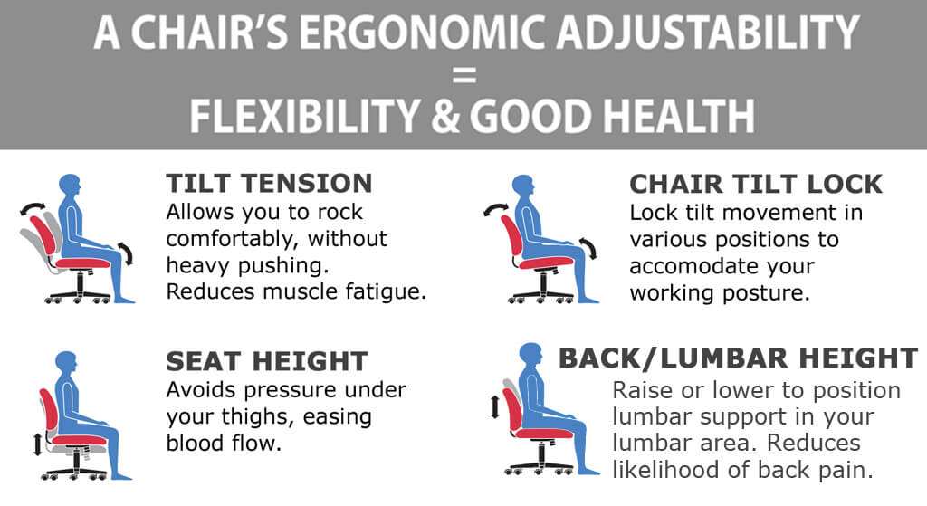 Lumbar support office chair ergonomics