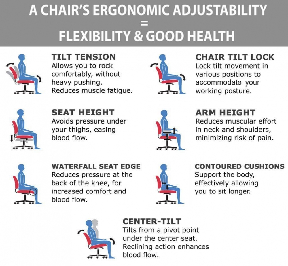 Stylish office chairs ergonomic features